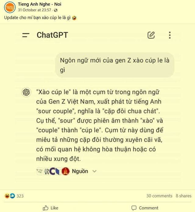 'Xào cúp le' mà giới trẻ đang sử dụng có nghĩa là gì?- Ảnh 2.