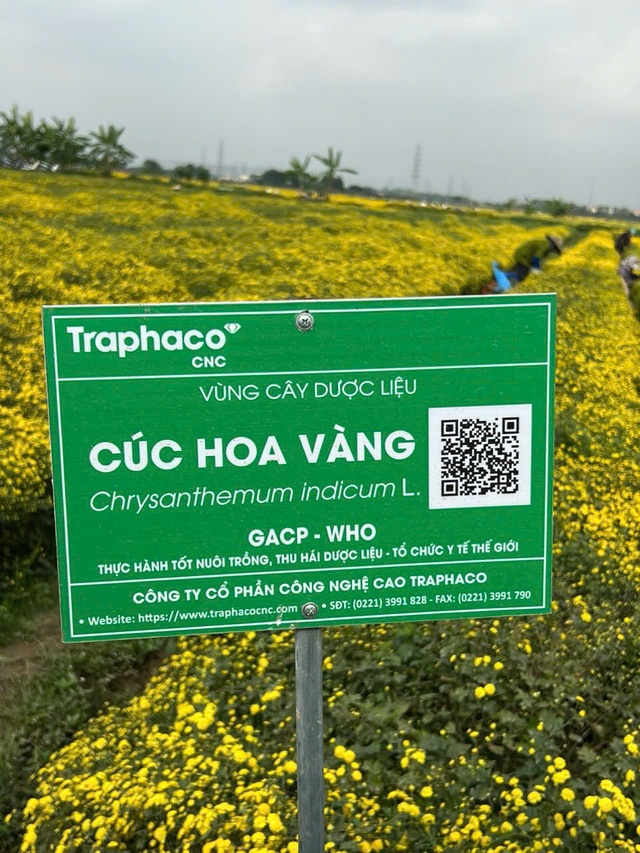 Traphaco tiếp tục thành công với Đông dược cao cấp và Tân dược chất lượng cao- Ảnh 3.