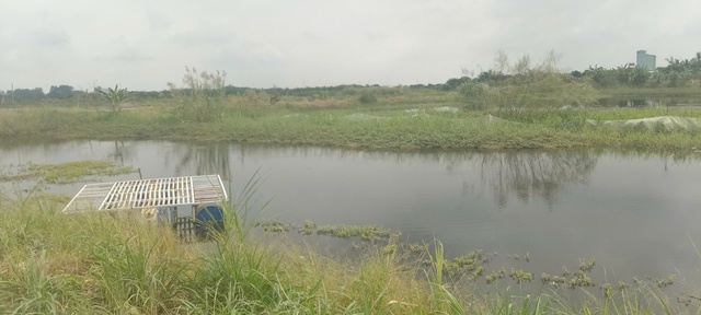 Công ty Xây lắp An Giang khai thác trái phép hơn 875.000 m3 đất làm gạch- Ảnh 2.