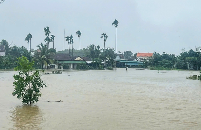 Quảng Ngãi: Hàng chục nhà dân chìm trong biển nước, chủ động cho học sinh nghỉ học- Ảnh 1.