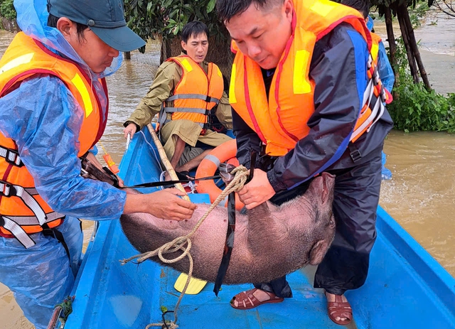 Quảng Ngãi: Hàng chục nhà dân chìm trong biển nước, chủ động cho học sinh nghỉ học- Ảnh 4.