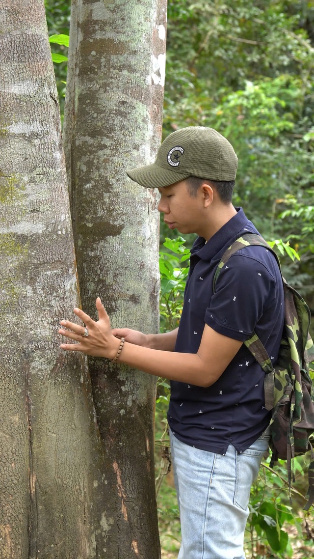 'Thế giới' trầm, kỳ: Nghề lùng dó tìm trầm- Ảnh 5.