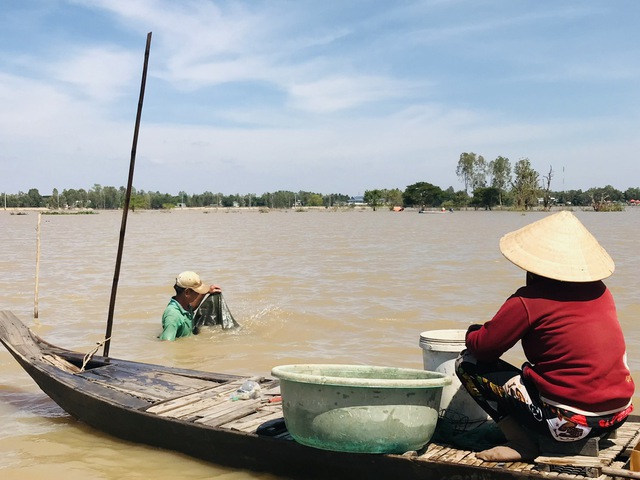 Đặc sản miền Tây 'để dành ăn tết'- Ảnh 2.