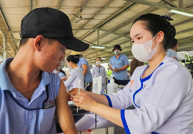 Nhiều doanh nghiệp chủ động tiêm vắc xin phòng sốt xuất huyết- Ảnh 1.