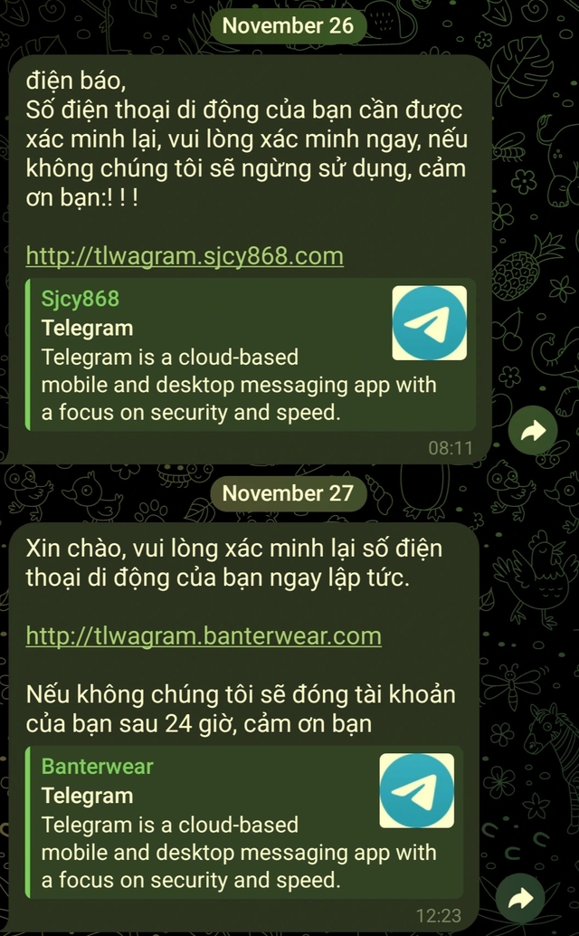 Để tránh bị chiếm đoạt tài khoản Telegram, cần làm ngay việc này…- Ảnh 2.