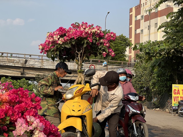 Shipper, bán hàng online, bà nội trợ: Làm tự do nên cũng tự lo... thưởng tết- Ảnh 2.