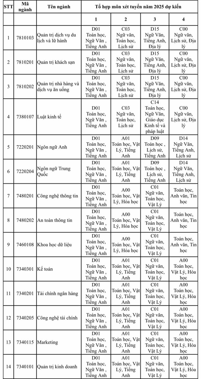 Một trường ĐH công bố các tổ hợp môn xét tuyển năm 2025- Ảnh 2.