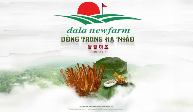 Dalat Newfarm - Tinh hoa đông trùng hạ thảo từ Đà Lạt