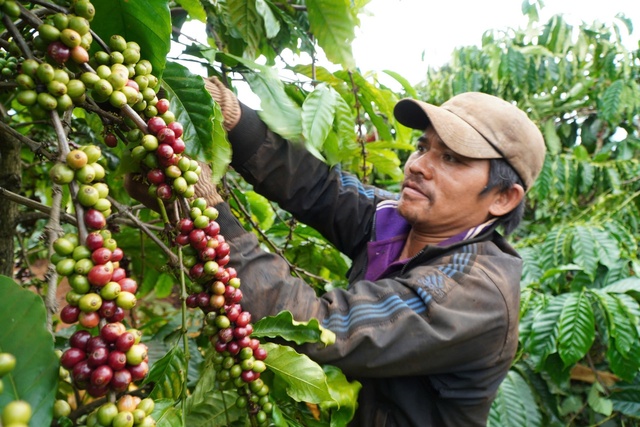 Phó thủ tướng Nguyễn Hòa Bình: Đầu tư trọng tâm cho vùng đồng bào dân tộc- Ảnh 3.