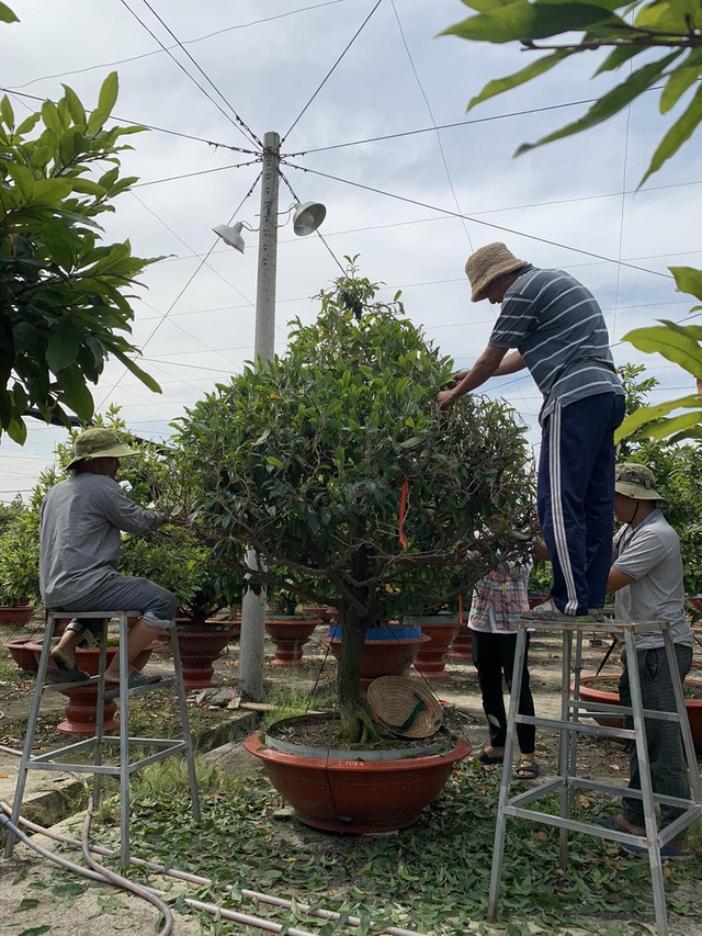 Tin tức đặc biệt trên báo in Thanh Niên 11.12.2024- Ảnh 2.