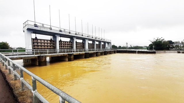 Mưa lớn gây ngập úng hàng ngàn ha lúa vừa gieo sạ ở Bình Định- Ảnh 2.
