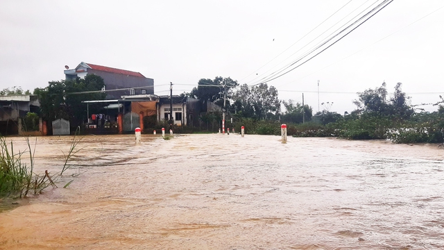 Mưa lớn gây ngập úng hàng ngàn ha lúa vừa gieo sạ ở Bình Định- Ảnh 3.