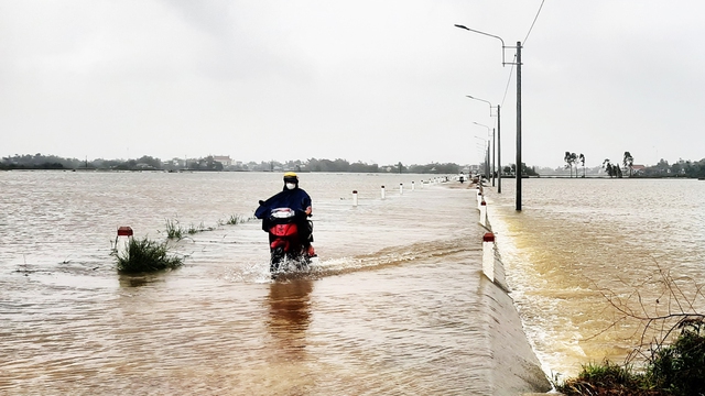 Mưa lớn gây ngập úng hàng ngàn ha lúa vừa gieo sạ ở Bình Định- Ảnh 4.