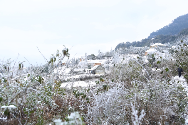 Đợt lạnh nhất từ đầu m&ugrave;a đ&ocirc;ng 2024 ở miền Bắc k&eacute;o d&agrave;i đến khi n&agrave;o?- Ảnh 1.