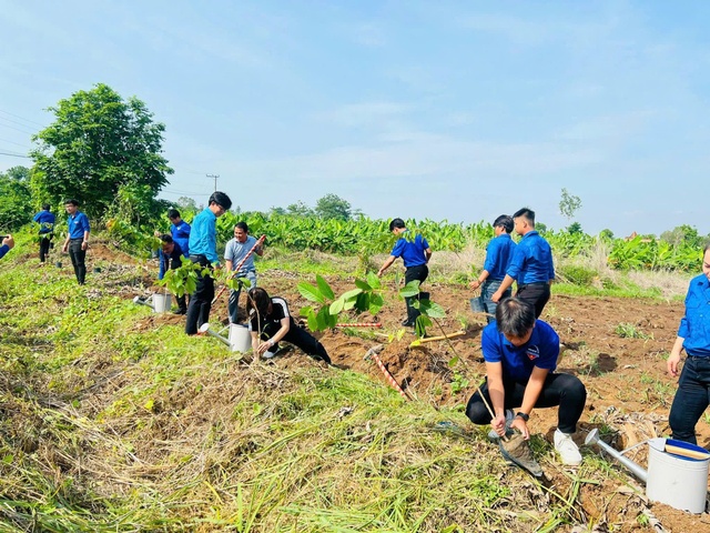 Sau thời gian triển khai, một số huyện, thành Đoàn phát sinh nhu cầu trồng cây xanh tại địa phương để thực hiện &quot;Đề án trồng một tỉ cây xanh giai đoạn 2021- 2025&quot; của Thủ tướng Chính phủ, Tỉnh đoàn đã đề nghị Sở NN-PTNT điều chỉnh, bổ sung 4.250 cây xanh để kịp thời hỗ trợ nhu cầu của các đơn vị trực thuộc. (ẢNH: MINH TRÍ)