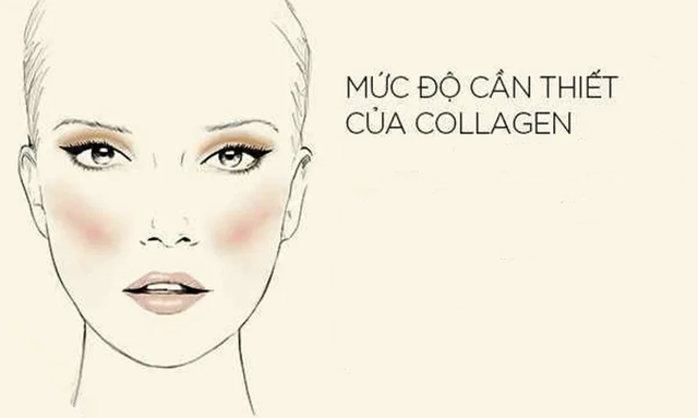 Chuyên gia lý giải vì sao cơ thể cần collagen?- Ảnh 1.