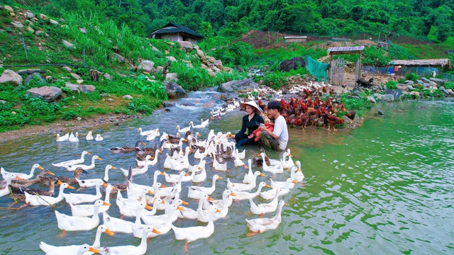 Vợ chồng trẻ làm nông có doanh thu trăm triệu đồng/tháng- Ảnh 1.