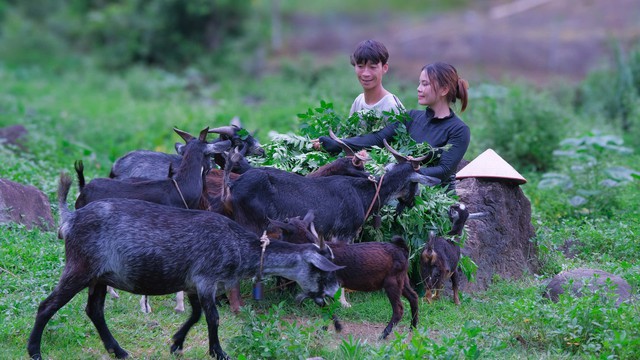 Vợ chồng trẻ làm nông có doanh thu trăm triệu đồng/tháng- Ảnh 2.