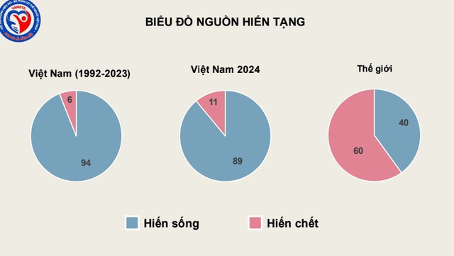 Việt Nam ghép tạng ngang tầm thế giới nhưng tỷ lệ người chết não hiến mô, tạng thấp- Ảnh 2.