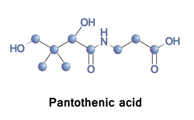 Vitamin B5 là gì? Tại sao được ứng dụng phổ biến trong sản phẩm chăm sóc da?- Ảnh 2.