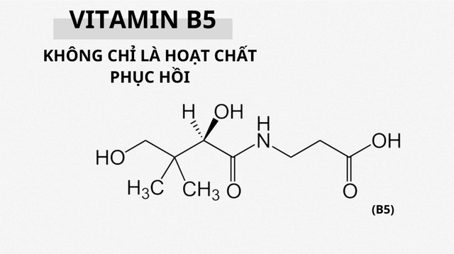 Vitamin B5 là gì? Tại sao được ứng dụng phổ biến trong sản phẩm chăm sóc da?- Ảnh 3.