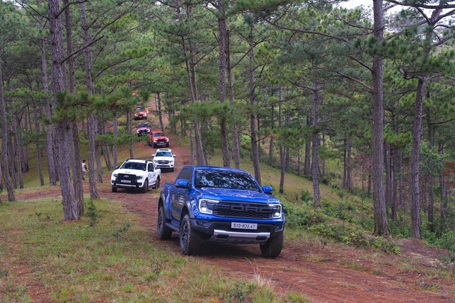 Ranger và Everest 'bùng nổ', Ford tiếp tục thuộc nhóm thương hiệu dẫn đầu thị trường- Ảnh 1.