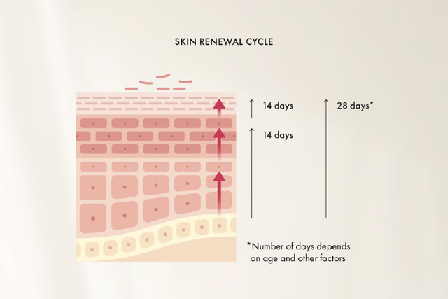 Trị sẹo rỗ trước Tết: Cẩm nang chăm da mịn màng, mờ sẹo hiệu quả- Ảnh 2.