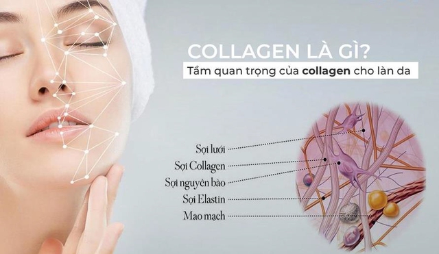 Uống collagen có thật sự đang phí tiền - Lời giải đáp từ chuyên gia- Ảnh 2.