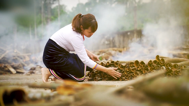 Kho báu dược liệu Việt Nam, đồng hành cùng sức khỏe gia đình bạn - Ảnh 2.