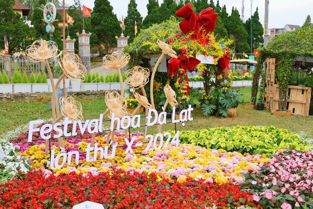 Check-in cùng bonsai khổng lồ, phố hoa khoe sắc tại Festival Hoa Đà Lạt - Ảnh 2.