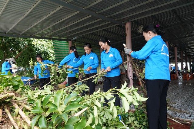 Chuyện tử tế: Miệt mài trồng thuốc nam làm từ thiện- Ảnh 2.