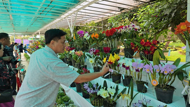 Festival Hoa Đà Lạt 2024: Mãn nhãn với hàng ngàn tác phẩm hoa, cây kiểng...- Ảnh 8.