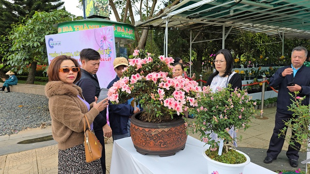 Festival Hoa Đà Lạt 2024: Mãn nhãn với hàng ngàn tác phẩm hoa, cây kiểng...- Ảnh 10.