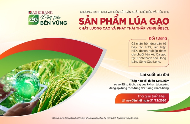 Agribank triển khai cho vay liên kết sản xuất lúa gạo chất lượng cao vùng ĐBSCL