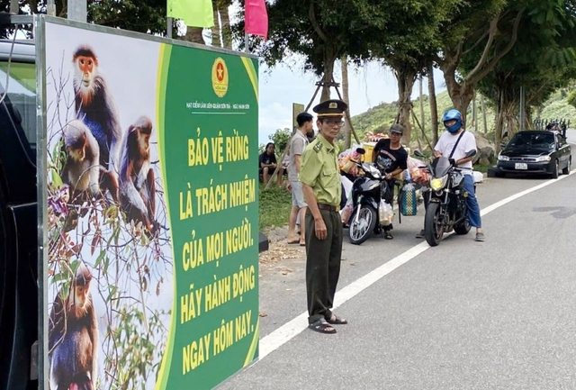 bán đảo Sơn Trà