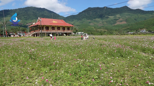 Thanh niên ngăn nước để tưới lúa và hoa màu ở xã miền núi- Ảnh 2.