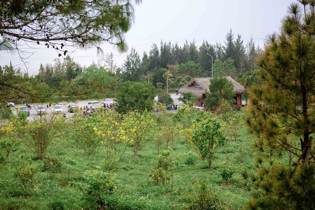 Ngàn người đến Vũng Chùa- Đảo Yến viếng Đại tướng Võ Nguyên Giáp dịp đầu năm- Ảnh 4.