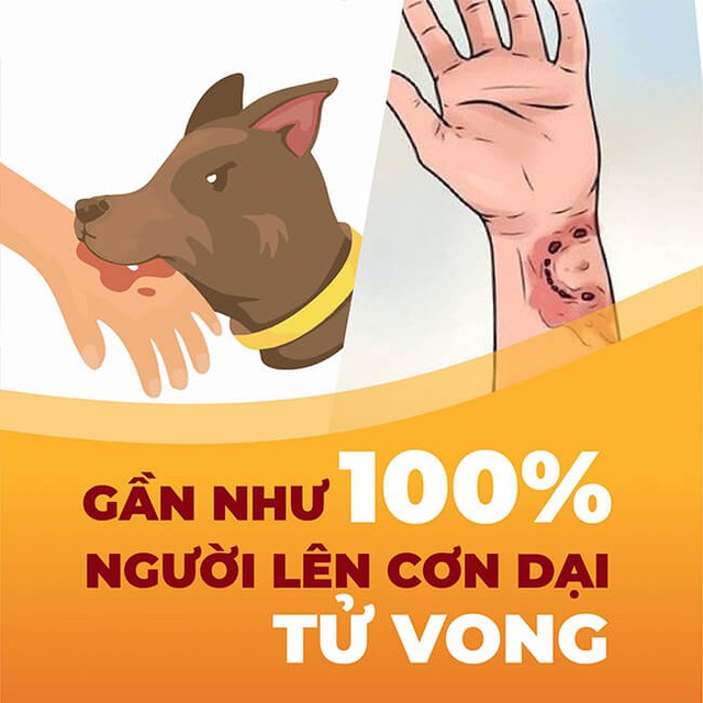 Nguy cơ mắc bệnh dại chực chờ, tuyệt đối không chủ quan khi bị chó, mèo cắn- Ảnh 1.