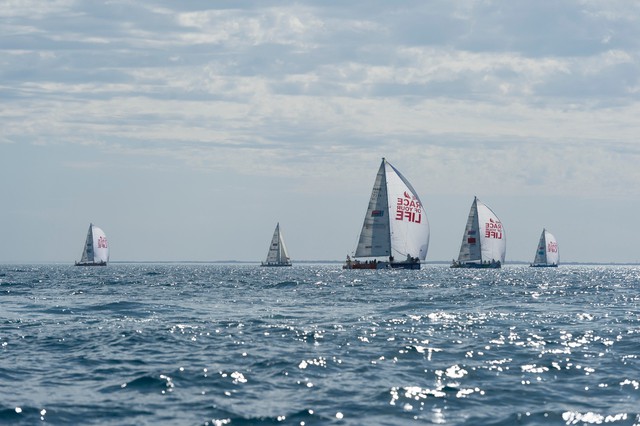 Giải đua thuyền Clipper Race nổi tiếng thế giới đến Hạ Long- Ảnh 3.