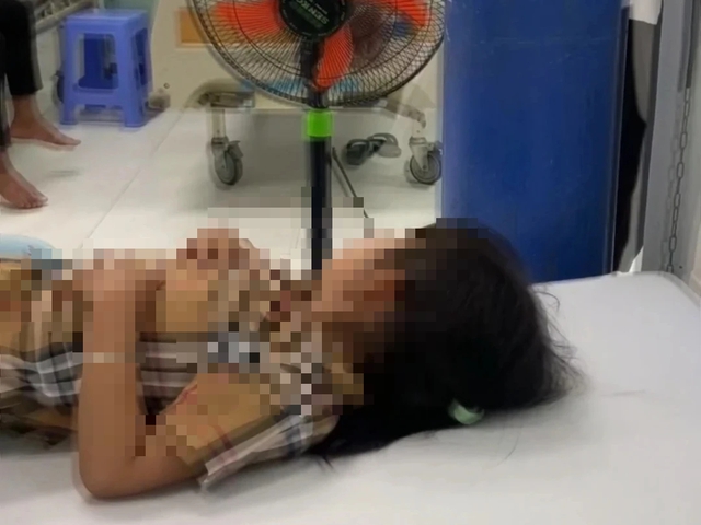 Bé gái 4 tuổi ở Bình Thuận bị chó cắn rồi phát bệnh dại, tử vong- Ảnh 1.