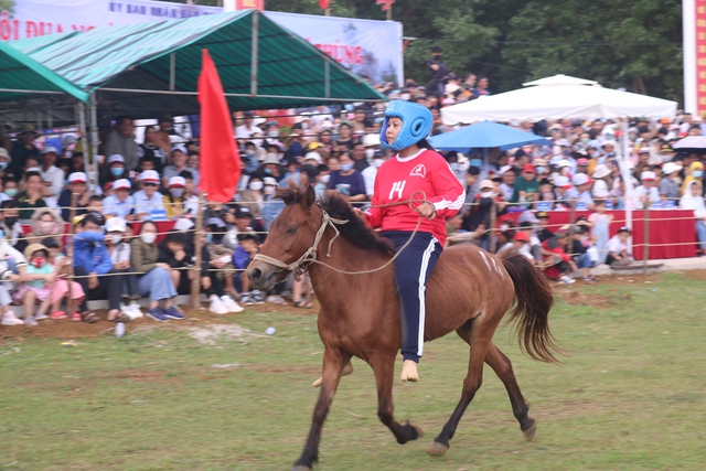 Độc lạ hội đua ngựa Gò Thì Thùng- Ảnh 2.
