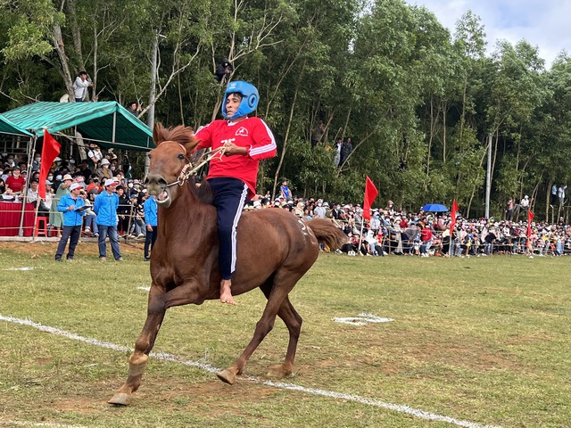 Độc lạ hội đua ngựa Gò Thì Thùng- Ảnh 3.
