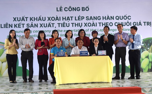 An Giang xuất khẩu 13 tấn xoài hạt lép đầu tiên sang Hàn Quốc- Ảnh 3.