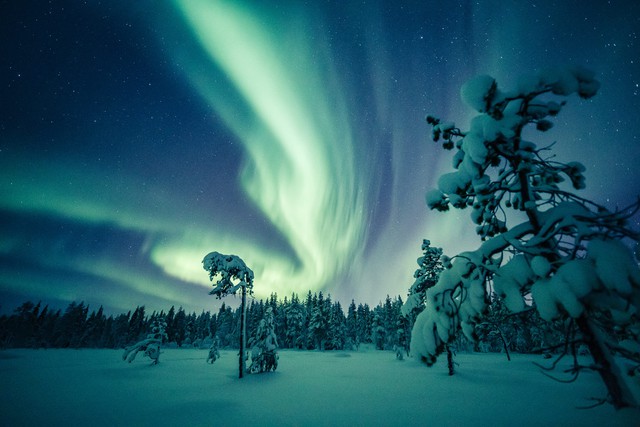 Thử lái xe tuần lộc tại Lapland, Phần Lan: Quê hương của ông già Noel- Ảnh 2.