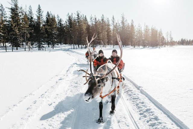 Thử lái xe tuần lộc tại Lapland, Phần Lan: Quê hương của ông già Noel- Ảnh 1.