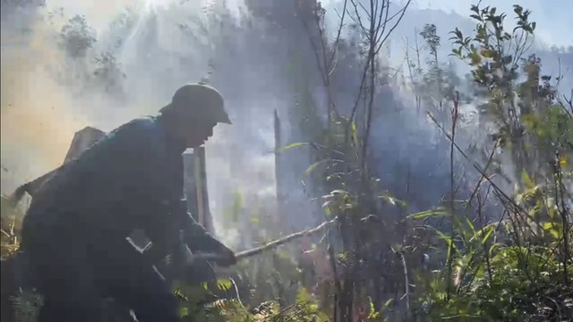 Công an tỉnh Lào Cai điều tra vụ cháy rừng ở Vườn quốc gia Hoàng Liên- Ảnh 1.