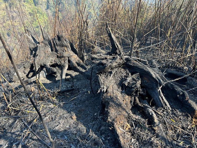 Cháy rừng lan rộng, Sa Pa giảm quy mô Lễ hội 
Roóng Poọc ở Tả Van- Ảnh 2.