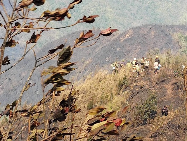 Cháy rừng ở Sa Pa tiếp tục lan rộng, 550 người tham gia chữa cháy- Ảnh 1.