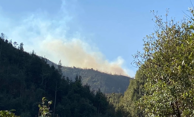 Cháy rừng ở Sa Pa tiếp tục lan rộng, 550 người tham gia chữa cháy- Ảnh 3.