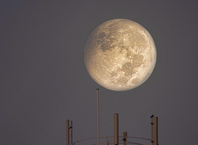 Hôm nay xuất hiện 'trăng tròn nhỏ nhất' 2024: Vì sao gọi là Trăng Tuyết?- Ảnh 1.